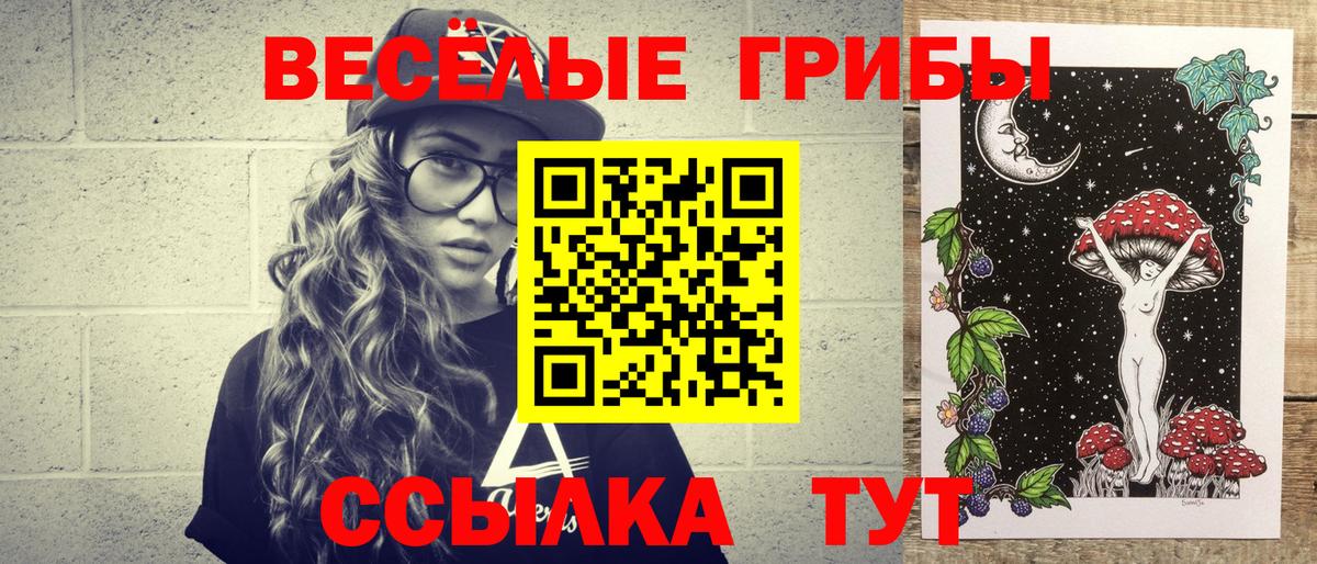 Красноярск  Галлюциногенные грибы Psilocybine cubensis  Вход с VPN 